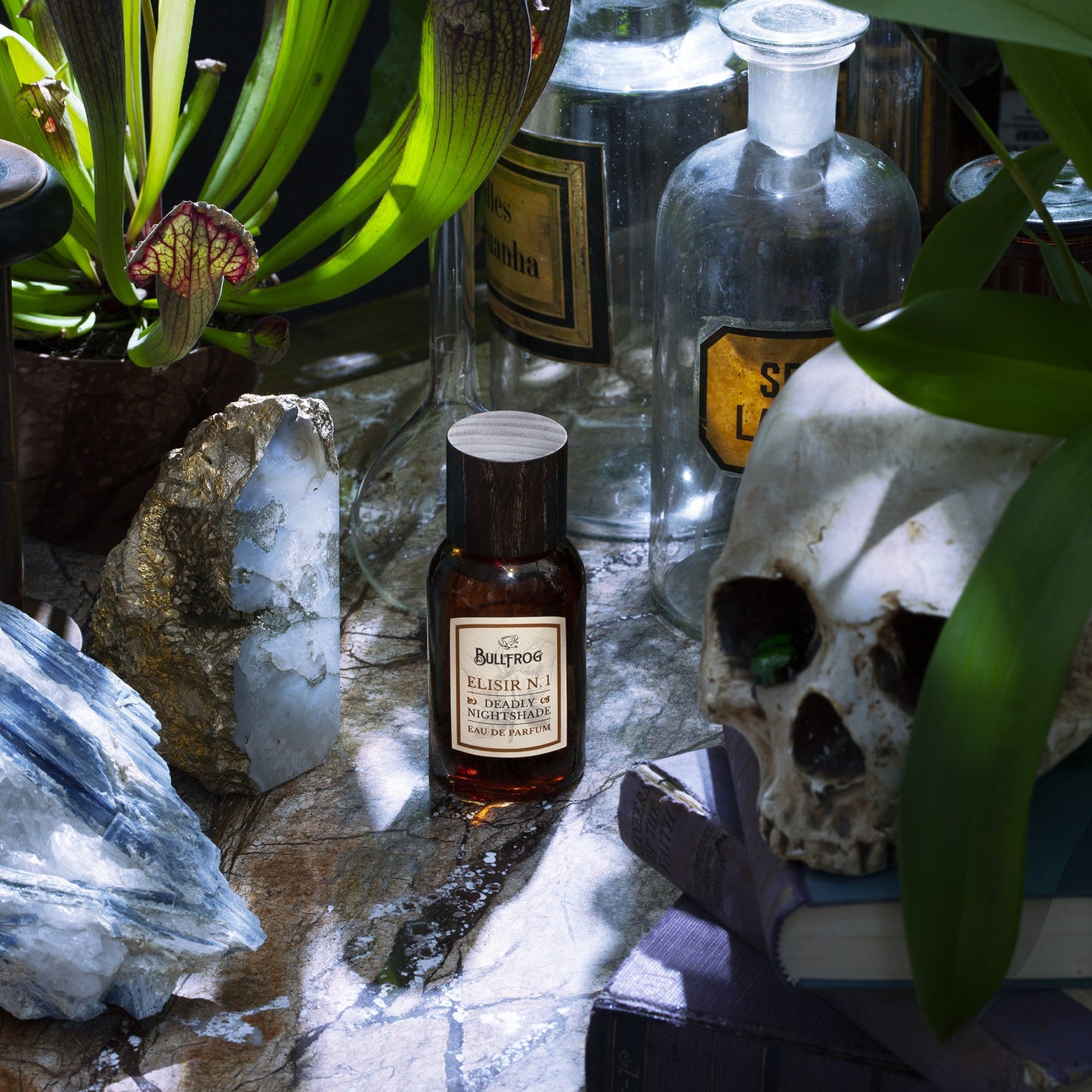 Elisir N.1 – Deadly Nightshade EDP