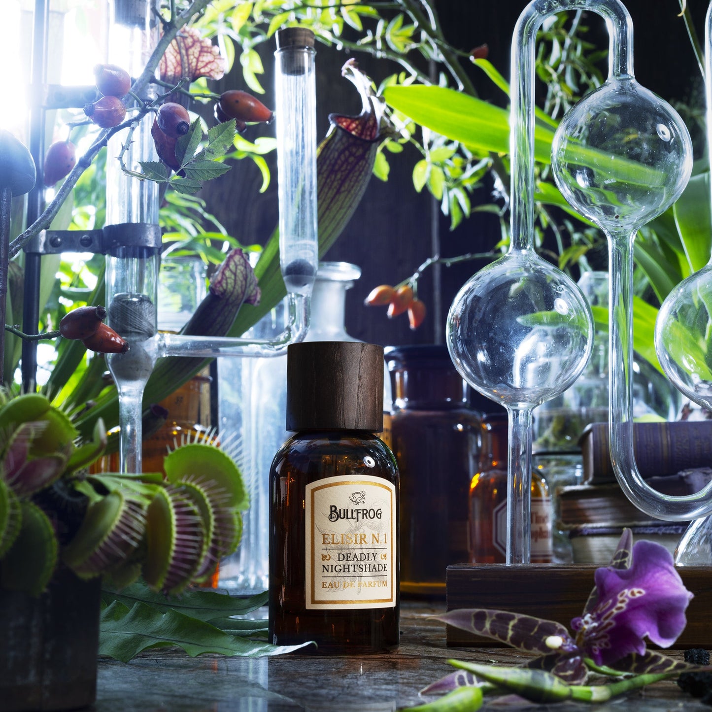 Elisir N.1 – Deadly Nightshade EDP